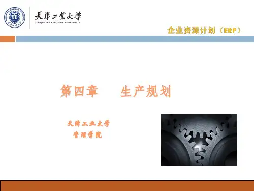 企业资源计划(ERP)  生产规划