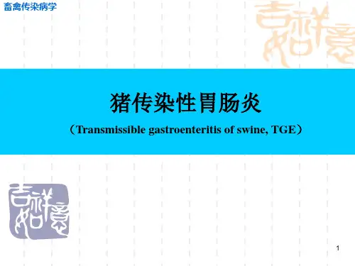传染性胃肠炎