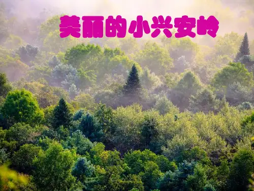美丽的小兴安岭｜人教(部编版)优秀课件