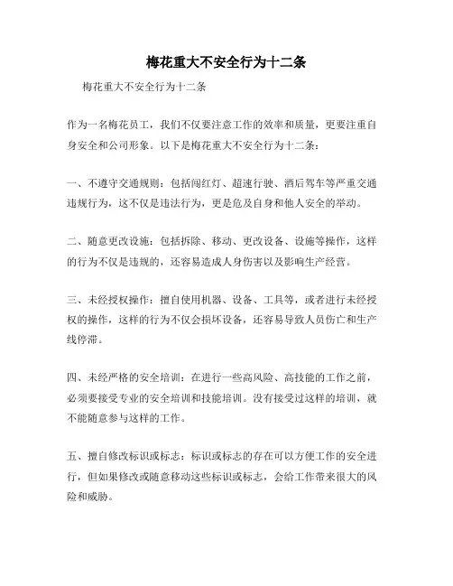 梅花重大不安全行为十二条