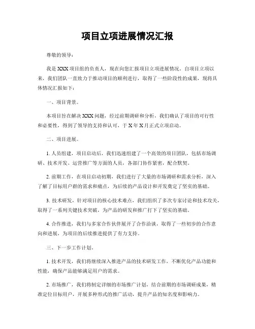项目立项进展情况汇报