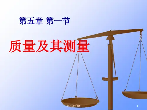 新课标初中物理《质量及其测量》精品