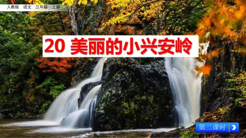 部编版教材《美丽的小兴安岭》ppt精品课件1