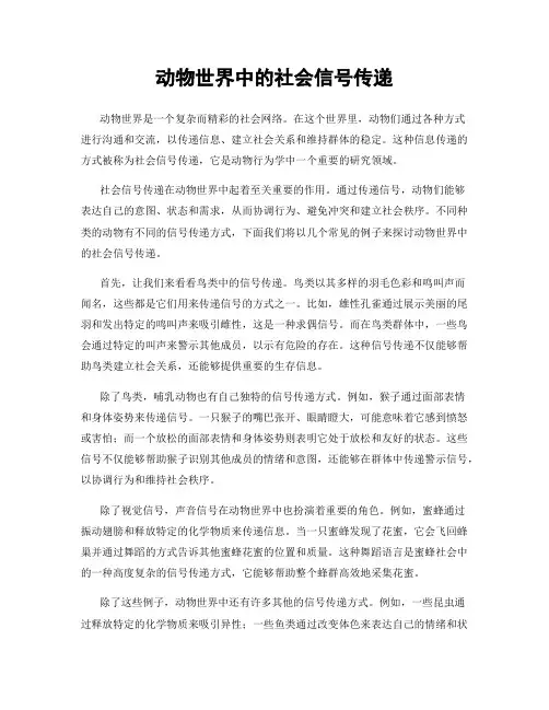 动物世界中的社会信号传递