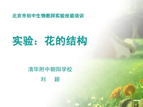观察花的结构-刘颖(清华附中朝阳学校)