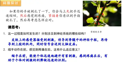 神经调节的基本方式ppt课件