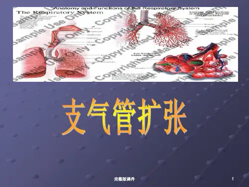 支气管扩张症护理查房ppt课件