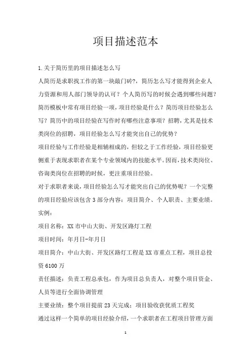 项目描述范本