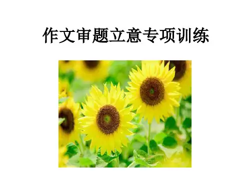 高中作文审题立意(优秀课件)