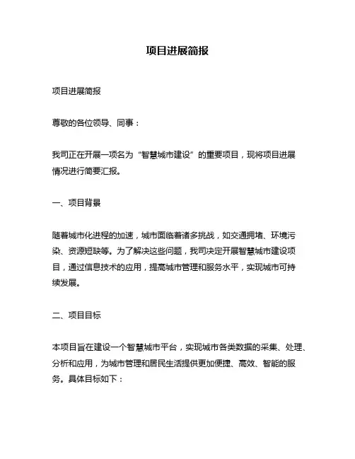 项目进展简报