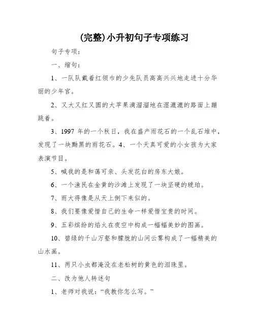 (完整)小升初句子专项练习