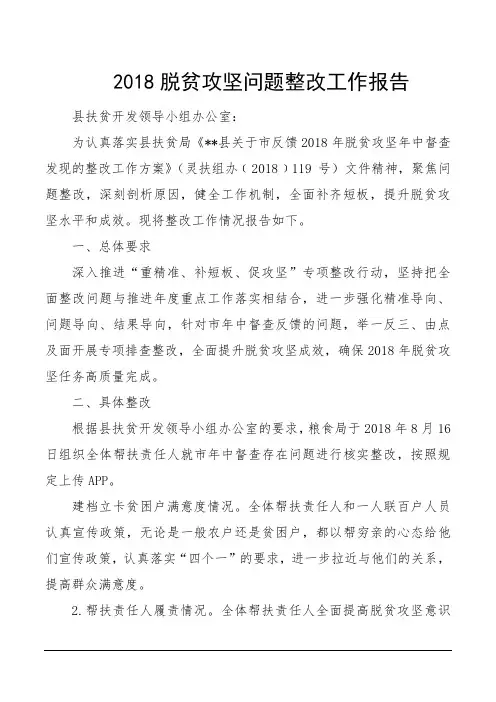 2018脱贫攻坚问题整改工作报告