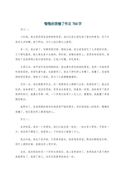 慢慢的我懂了作文750字