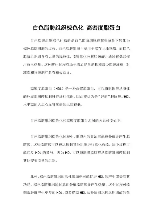 白色脂肪组织棕色化 高密度脂蛋白