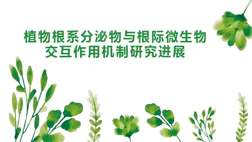 植物根系分泌物与根际微生物交互作用机制研究进展
