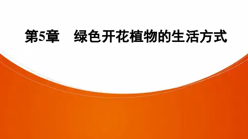 (广东中考初三生物复习基础知识PPT)第5章  绿色开花植物的生活方式