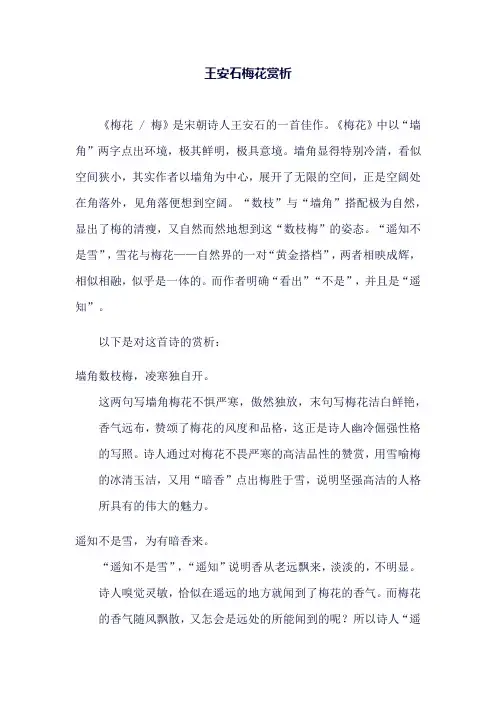 王安石梅花赏析