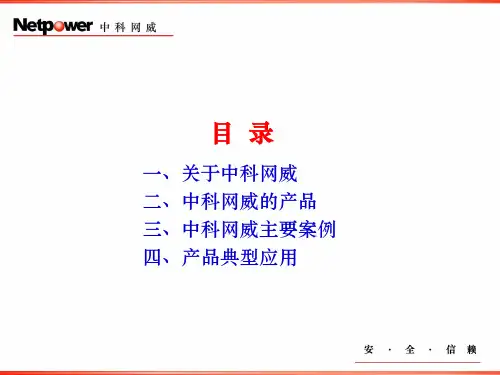 中科网威(防火墙、入侵检测)培训用32页PPT