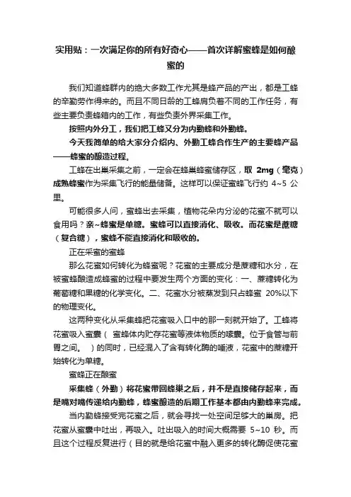 实用贴：一次满足你的所有好奇心——首次详解蜜蜂是如何酿蜜的