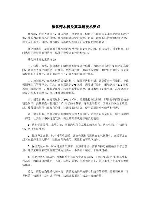 矮化辣木树及其栽培技术要点