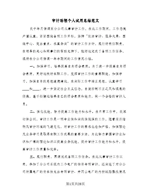审计助理个人试用总结范文(8篇)