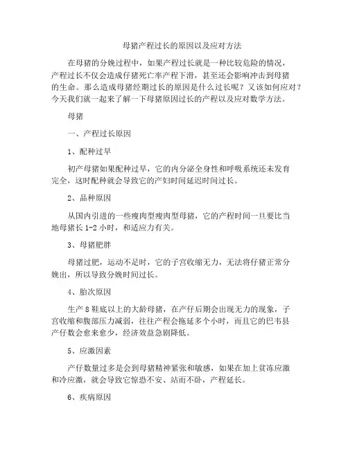 母猪产程过长的原因以及应对方法