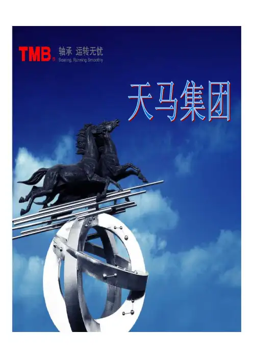 成都天马回转支承