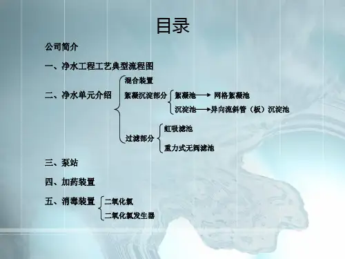 常规净水处理工艺介绍.PPT