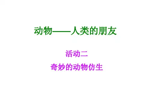 奇妙的动物仿生-2