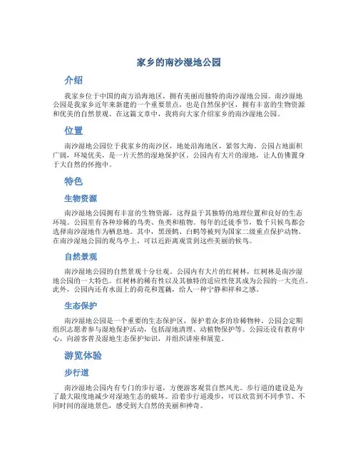 家乡的南沙湿地公园作文