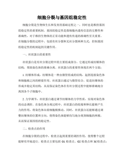 细胞分裂与基因组稳定性