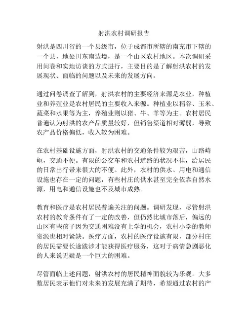 射洪农村调研报告