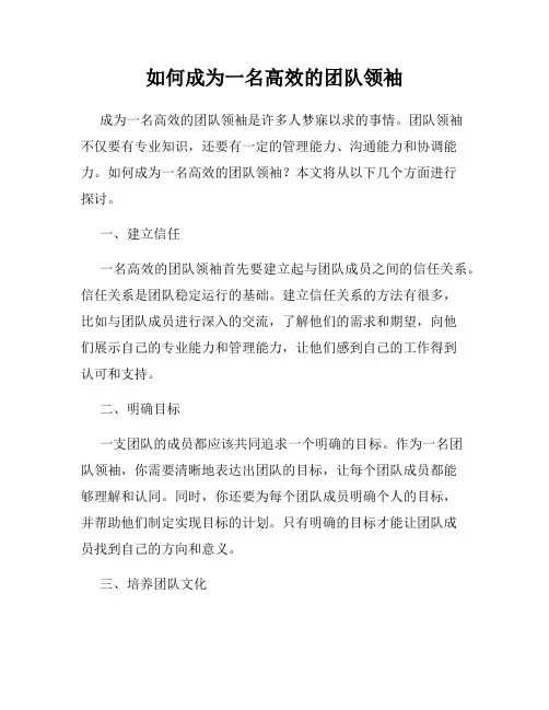 如何成为一名高效的团队领袖