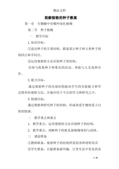 观察植物的种子教案