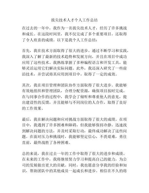 拔尖技术人才个人工作总结