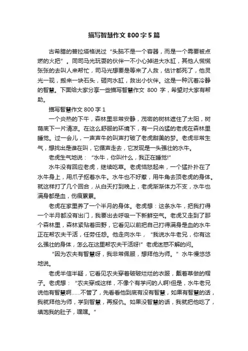 描写智慧作文800字5篇