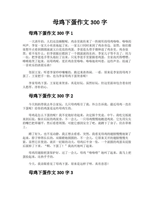 母鸡下蛋作文300字