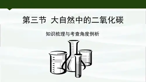 人教版九年级上册 《6.3大自然中的二氧化碳》知识梳理与考查角度例析优质课件PPT