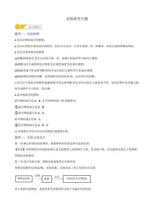 实验探究专题(广州专版)学生版