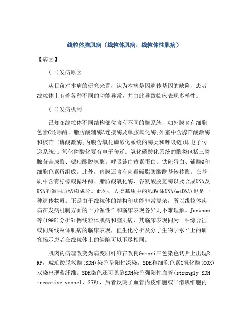 线粒体脑肌病(线粒体肌病,线粒体性肌病)