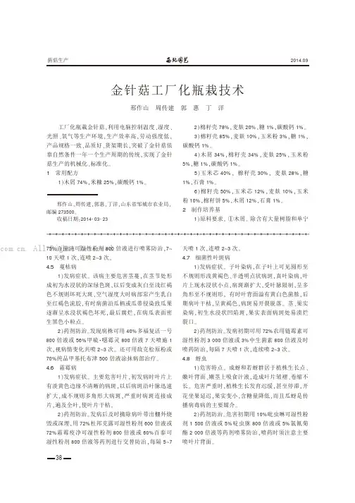 金针菇工厂化瓶栽技术