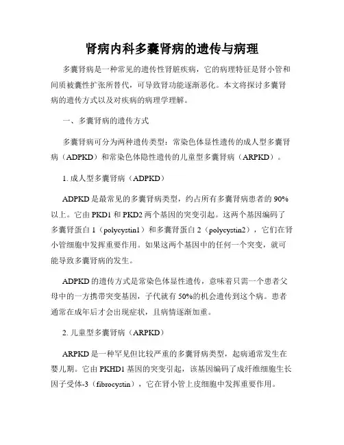 肾病内科多囊肾病的遗传与病理