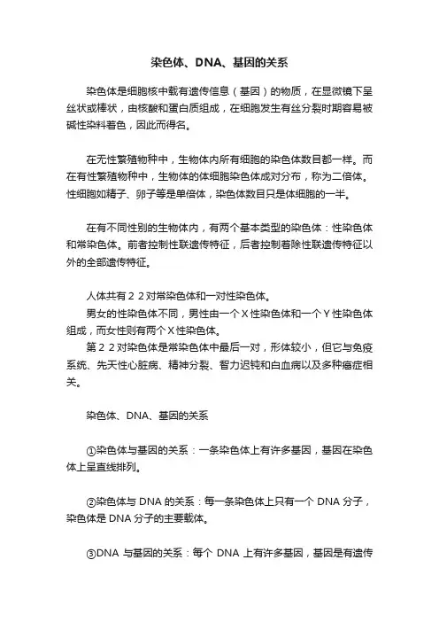 染色体、DNA、基因的关系