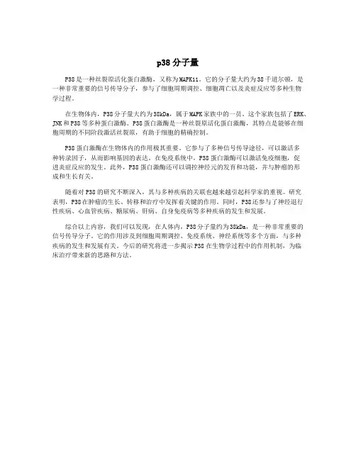 p38分子量
