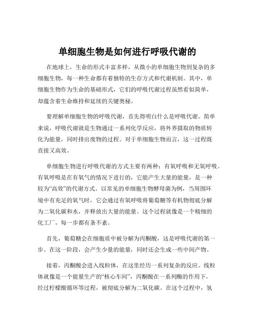 单细胞生物是如何进行呼吸代谢的
