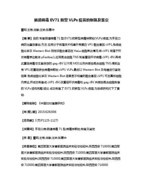 肠道病毒EV71新型VLPs疫苗的制备及鉴定