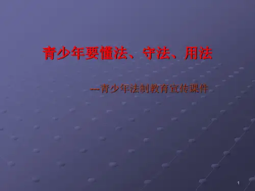 青少年法制教育宣传ppt课件