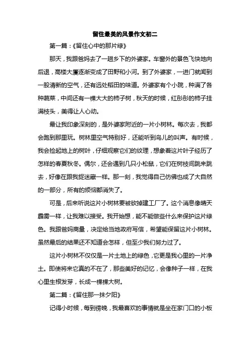 留住最美的风景作文初二