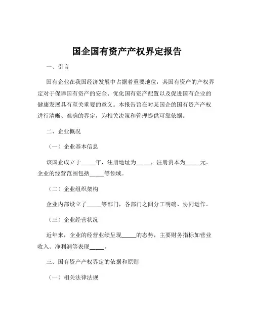 国企国有资产产权界定报告