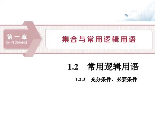 《充分条件、必要条件》集合与常用逻辑用语课件 图文